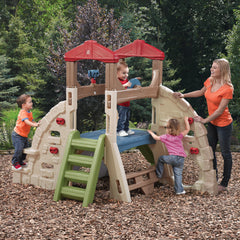 Alpine Ridge Climber & Slide™